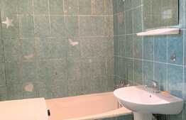 Apartament 46 mp utili, etaj intermediar, zona Parcului Central!