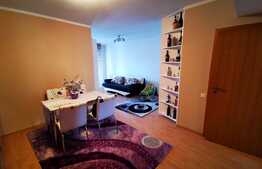 Apartament de 2 camere, 45 mp, mobilat modern, zona Piata Flora 