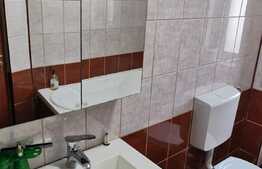 Apartament 2 camere, 53 mp, parcare, zona Muzeul Apei