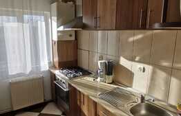 Apartament 2 camere, 53 mp, parcare, zona Muzeul Apei