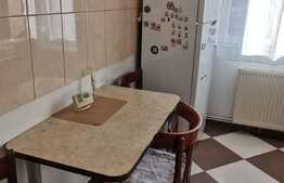 Apartament 2 camere, 53 mp, parcare, zona Muzeul Apei