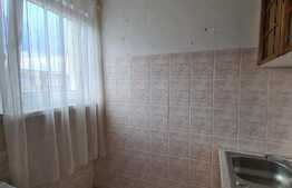 Garsoniera de 20 mp, zona Uzina 2