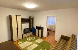 Apartament de 3 camere, pet friendly, zona Alverna
