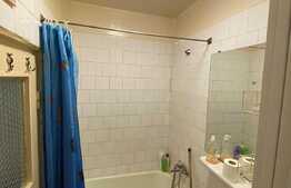 Apartament de 3 camere, pet friendly, zona Alverna