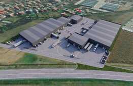 Hale pentru depozitare 600 mp utili, la cheie, cu platforma betonata 