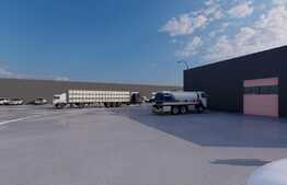 Hale pentru depozitare 600 mp utili, la cheie, cu platforma betonata 