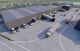 Hale pentru depozitare 600 mp utili, la cheie, cu platforma betonata 