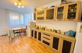 Duplex de 135 mp, 7 camere, 3 parcari, garaj, zona strazii Plevnei