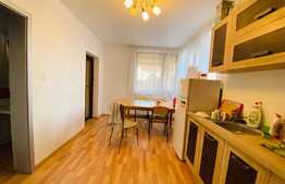 Duplex de 135 mp, 7 camere, 3 parcari, garaj, zona strazii Plevnei