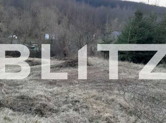 Teren de vânzare Feleacu - 81197TV | BLITZ Cluj-Napoca | Poza1