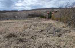 De vanzare casa individuala 2030 m2 teren,80 utili.