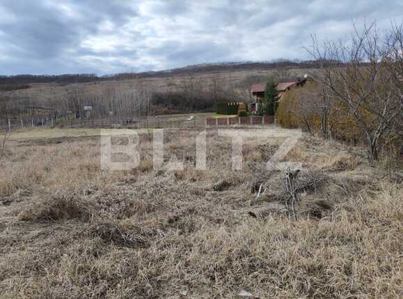 Casa de vânzare 2 camere Jucu - 81199CV | BLITZ Cluj-Napoca | Poza2