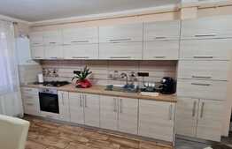 Apartament de 2 camere, mobilat si utilat, parcare, zona Cetatii