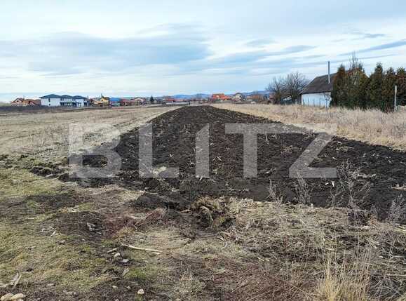 Teren de vânzare Jucu - 81231TV | BLITZ Cluj-Napoca | Poza1