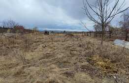 Teren de 1100 mp in Sannicoara