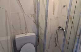 Camera de camin, 11 mp, zona Astra