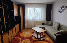 Garsoniera spatioasa, 36 mp, zona Bartolomeu