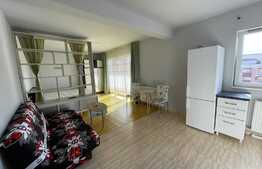 Garsoniera de 49 mp, parcare, zona Vivo 