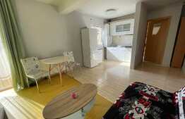 Garsoniera de 49 mp, parcare, zona Vivo 