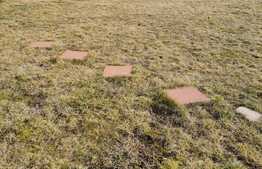 Casa tip duplex, strada privata, 290 mp teren, 2 parcari, zona Terra