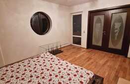 Apartament de 4 camere, 120 mp utili, aer conditionat, semineu, zona Somesului