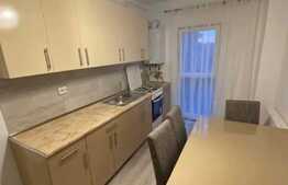 Garsoniera cu nisa de dormit, totul nou, 46 mp, zona strazii Fabricii