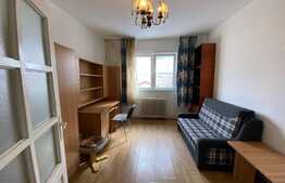 Garsoniera de 30 mp, pet friendly, zona Expo Transilvania 