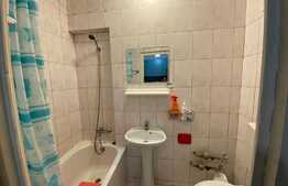 Garsoniera de 30 mp, pet friendly, zona Expo Transilvania 