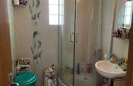 Apartament 2 camere, etaj intermediar, decomandat, 50 mp, 2 balcoane, zona Interservisan