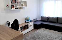 Oportunitate! Apartament 3 camere, garaj, boxa, zona strazii Teilor!