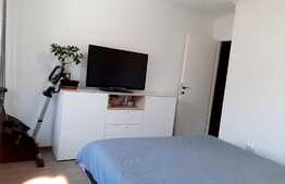 Oportunitate! Apartament 3 camere, garaj, boxa, zona strazii Teilor!