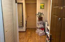 Apartament de 3 camere, zona Muzeul Apei!