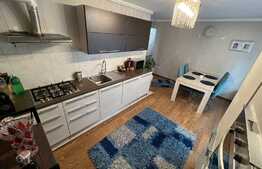 Apartament de 3 camere, zona Muzeul Apei!