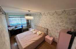 Apartament de 3 camere, zona Muzeul Apei!