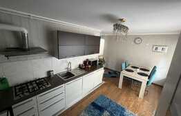 Apartament de 3 camere, zona Muzeul Apei!