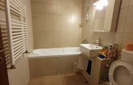 Apartament 2 camere, decomandat, 50 mp, zona Profi