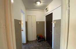 Apartament 2 camere, pet friendly, zona Iulius Mall