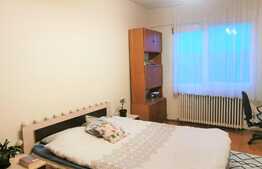 Apartament 2 camere decomandate, zona străzii Horea!