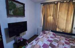 Apartament 3 camere, 54mp, gradina 60mp, parcare cu CF, zona Terra!