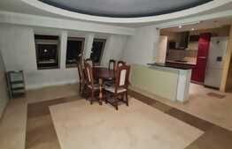 Apartament 4 camere, modern, 120 mp, parcare, aer conditionat, zona Somesului