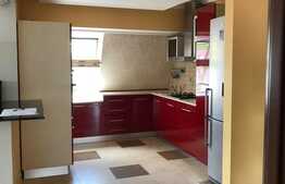 Apartament 4 camere, modern, 120 mp, parcare, aer conditionat, zona Somesului