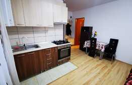 Garsoniera de 33 mp, prima inchiriere, zona Lombului