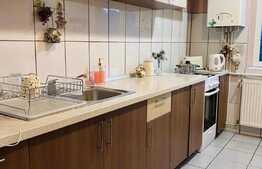 Apartament de 3 camere, decomandat, etaj intermediar, boxa, zona Fabricii