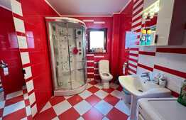 Casa de 290 mp utili, panorama, Codlea!