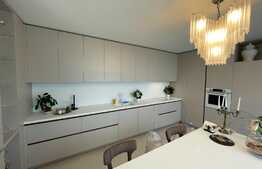 Penthouse DE LUX, 182 mp utili, 4 terase, SMART HOME