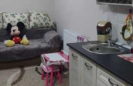 Apartament 2 camere, etaj intermediar, zona Atelierul de Pizza