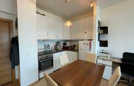 Apartament de 2 camere, 45 mp, pet friendly, zona Iulius Mall