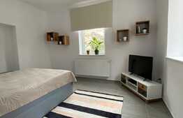 3 apartamente, 2 camere fiecare,114 mp, zona centrala