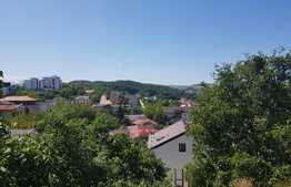 Teren intravilan, 4810 mp front 33 ml, Gruia