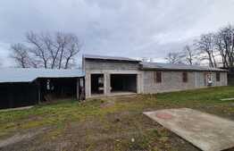 Casa 80 mp, 1600 mp teren, Budila